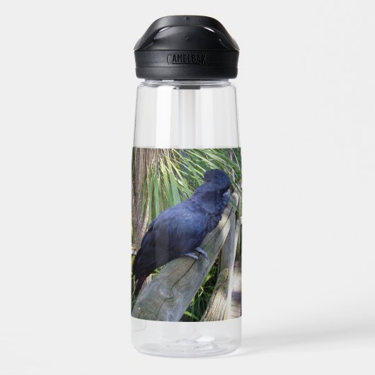 Black Feathers: Australian Black Parrot Trinkflasche (Rückseite)