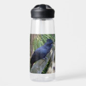 Black Feathers: Australian Black Parrot Trinkflasche (Vorne)