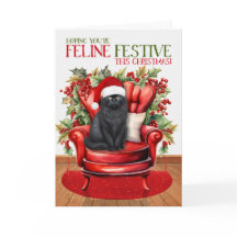 Black Fluffy Christmas Cat FELINE Festival
