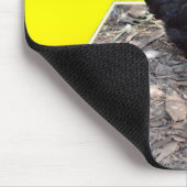 Black Fluffy Rooster Dimensional Art, Mousepad (Ecke)