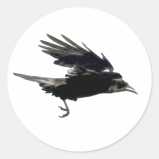 BLACK FLYY CROW Sticker Series (Vorderseite)