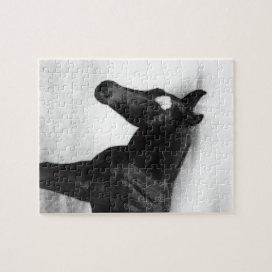 Black Foal Puzzle (Horizontal)