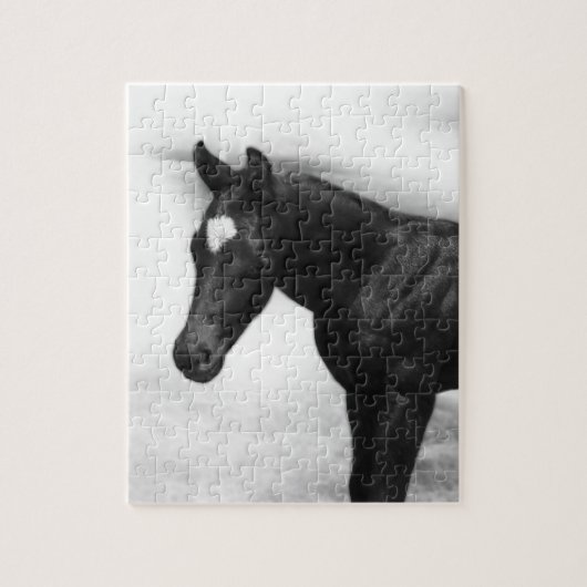 Black Foal Puzzle (Vertikal)