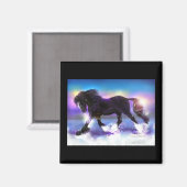 Black Foot Shire Magnet (Vorderseite/Rückseite)