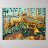 Black Footed Ferrets Poster (Vorne)
