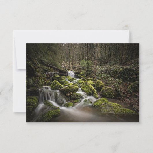 Black Forest Germany Card (Vorderseite)