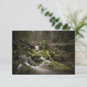 Black Forest Germany Card (Stehend Vorderseite)