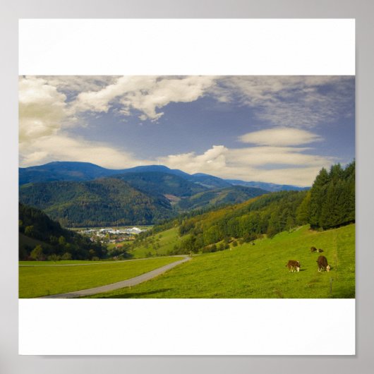 Black Forest Poster (Vorne)