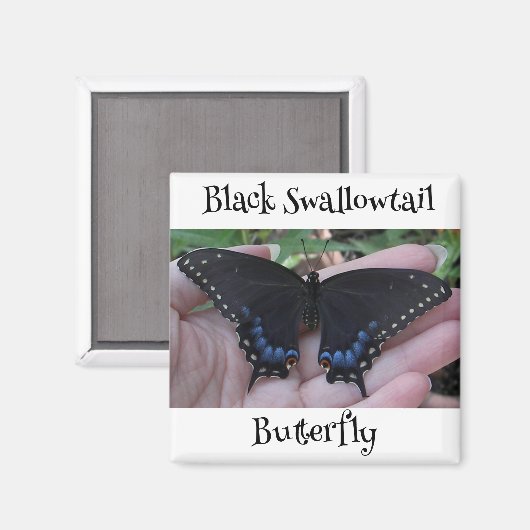 Black Frack Butterfly #1 Magnet (Vorderseite/Rückseite)