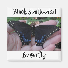 Black Frack Butterfly #1 Magnet