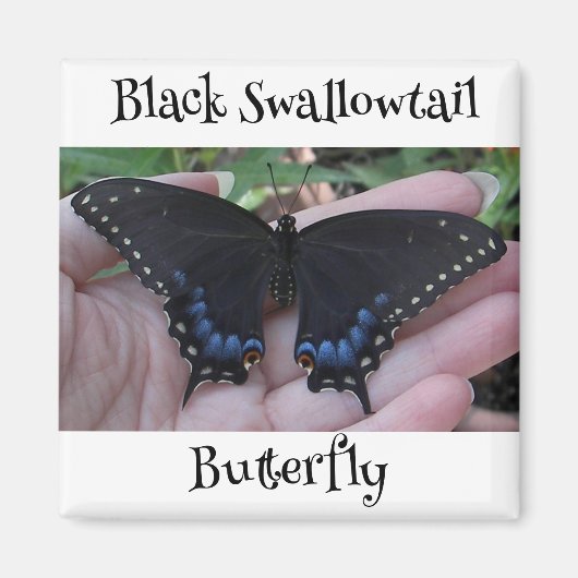 Black Frack Butterfly #1 Magnet (Vorne)