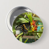 Black Frack Butterfly #2 Button (Vorne & Hinten)