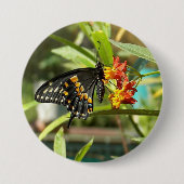 Black Frack Butterfly #2 Button (Vorderseite)