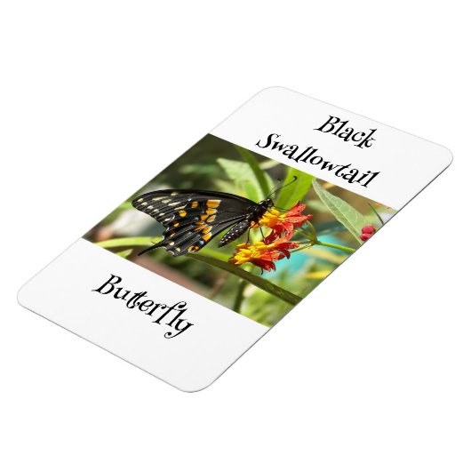 Black Frack Butterfly #2 Magnet (Linke Seite)