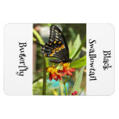 Black Frack Butterfly #2 Magnet (Horizontal)