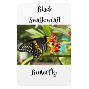 Black Frack Butterfly #2 Magnet
