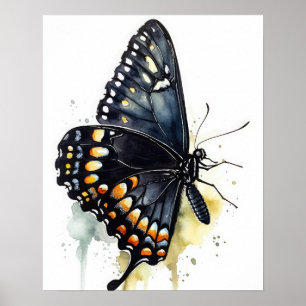 Black Frack Butterfly Art Print Poster