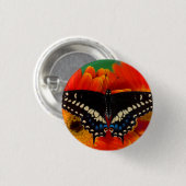 Black Frack Butterfly auf Gerberia Daisy Button (Vorne & Hinten)