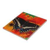 Black Frack Butterfly auf Gerberia Daisy Fliese (Seite)