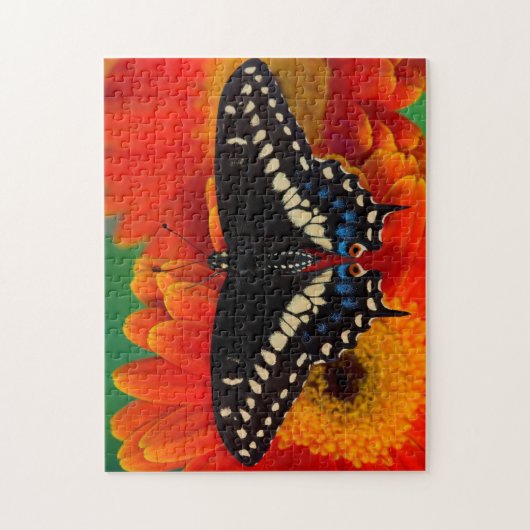 Black Frack Butterfly auf Gerberia Daisy Puzzle (Vertikal)