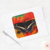 Black Frack Butterfly auf Gerberia Daisy Quadratischer Aufkleber (Umschlag)
