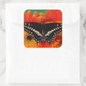 Black Frack Butterfly auf Gerberia Daisy Quadratischer Aufkleber (Tasche)