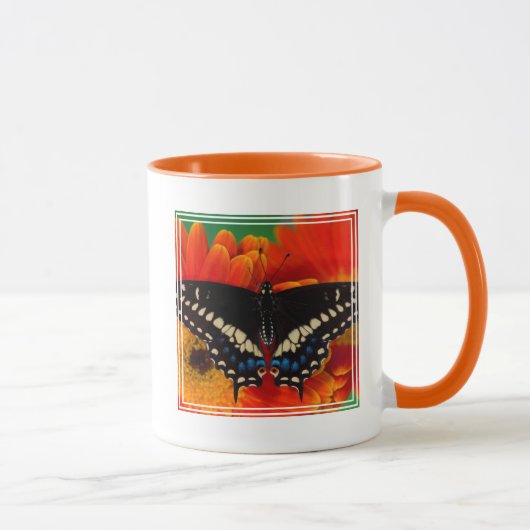 Black Frack Butterfly auf Gerberia Daisy Tasse (Rechts)