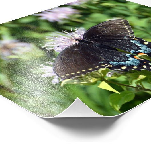 Black Frack Butterfly Fotodruck (Ecke)