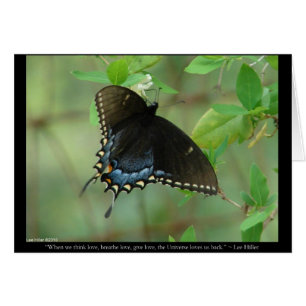 Black Frack Butterfly - Liebe Geschenke & Bekleidu