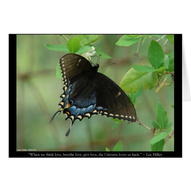 Black Frack Butterfly - Liebe Geschenke & Bekleidu (Vorderseite (Horizontal))