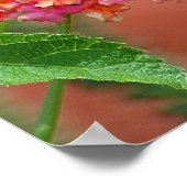 Black Frack Butterfly Poster (Ecke)