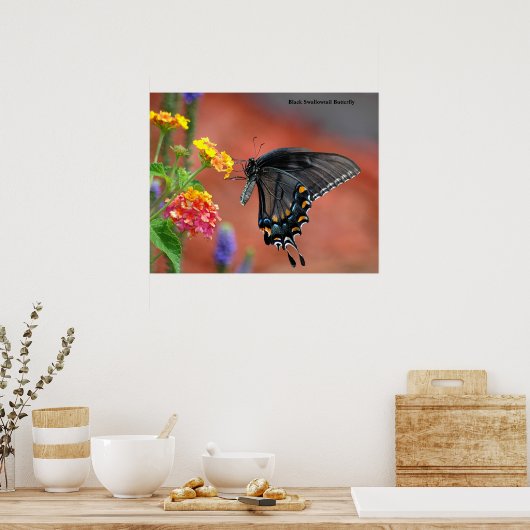 Black Frack Butterfly Poster (Küche)