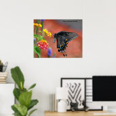 Black Frack Butterfly Poster (Heimbüro)