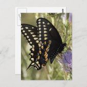 Black Frack Butterfly Postkarte (Vorne/Hinten)