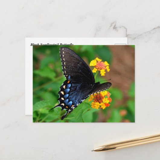 Black Frack Butterfly Postkarte (Vorderseite/Rückseite Beispiel)