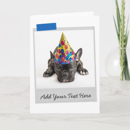 Black French Bulldog Frenchie Funny Card Karte (Vorderseite)