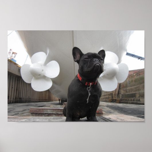 Black French Bulldog Poster (Vorne)