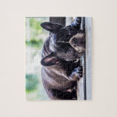 Black Frenchie Puzzle (Vertikal)
