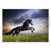 Black Friesian Horse (Vorderseite (Horizontal))