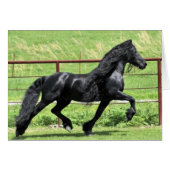 Black Friesian Horse (Vorderseite (Horizontal))