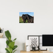 Black Friesian Horse berühmtes Pferdeziffer-Poster Poster (Heimbüro)