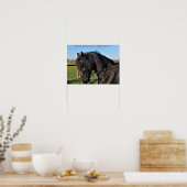 Black Friesian Horse berühmtes Pferdeziffer-Poster Poster (Küche)