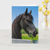 Black Friesian Horse Birthday Karte (Gelbe Blume)