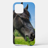 Black Friesian Horse Case-Mate iPhone Hülle (Rückseite)
