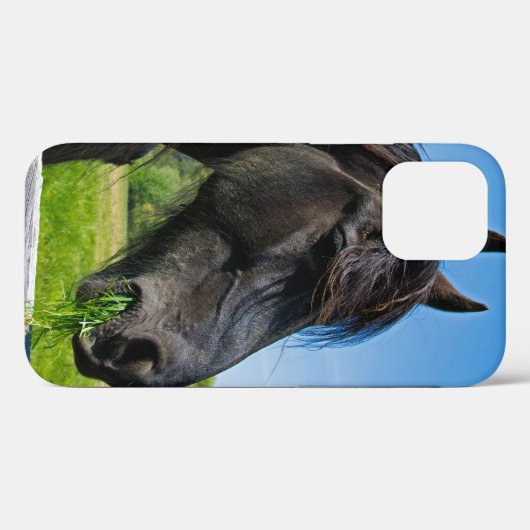 Black Friesian Horse Case-Mate iPhone Hülle (Rückseite (Horizontal))