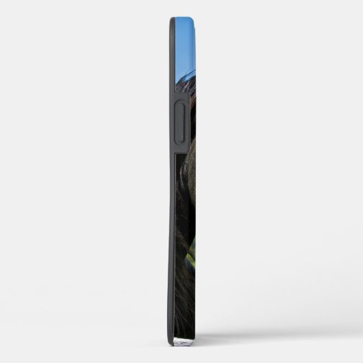 Black Friesian Horse Case-Mate iPhone Hülle (Rückseite / Rechts)