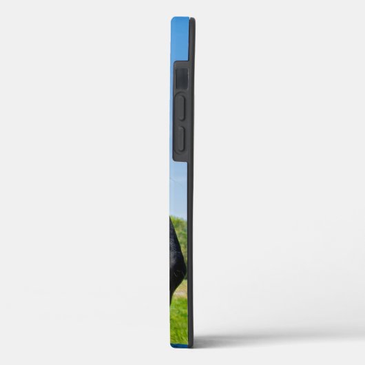 Black Friesian Horse Case-Mate iPhone Hülle (Rückseite / Links)