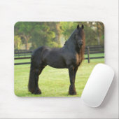 Black Friesian Horse Mousepad (Mit Mouse)