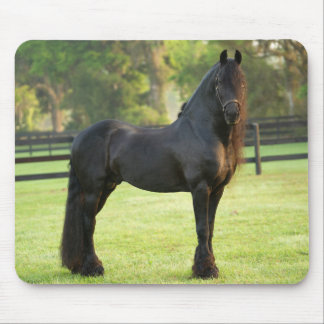 Black Friesian Horse Mousepad