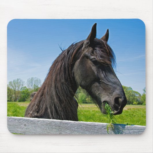 Black Friesian Horse Mousepad (Vorne)